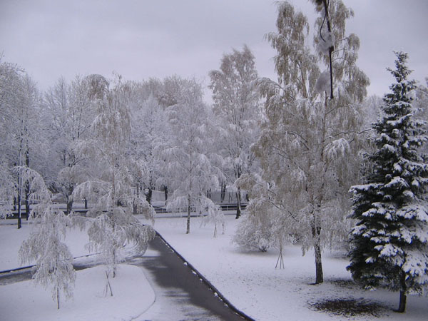 Зимний вид